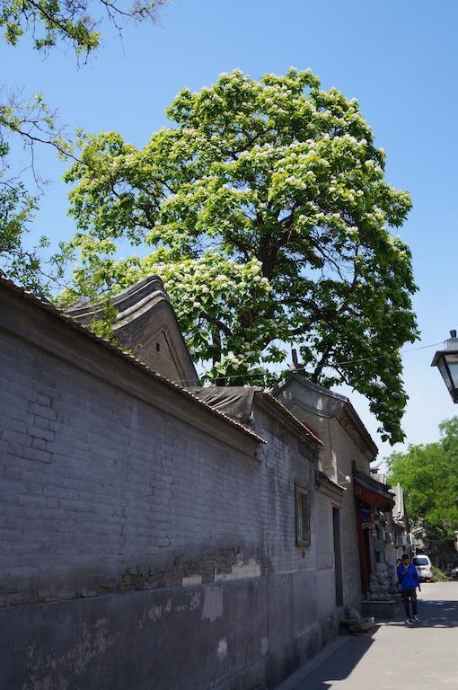 Songy Hundred-Year Courtyard Hotel Beijing Exterior photo